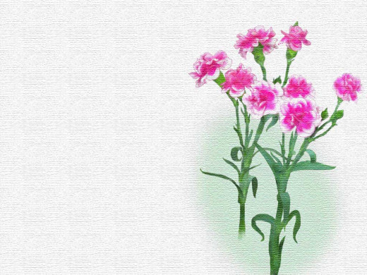303215 (a): :1024x768